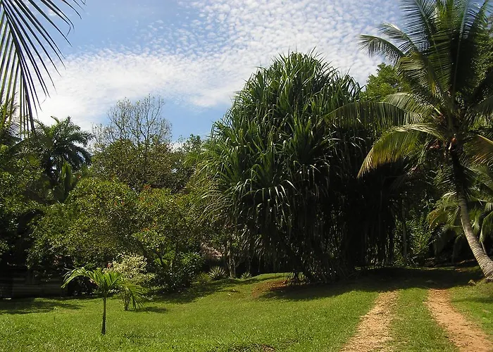 Suital Lodge